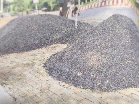 Sand and dust were sold there, the pavement was built with millions of rupees.