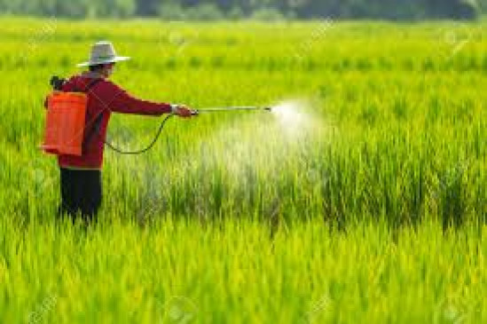 Trick will teach to agricultural laborers by spraying insecticides on crops