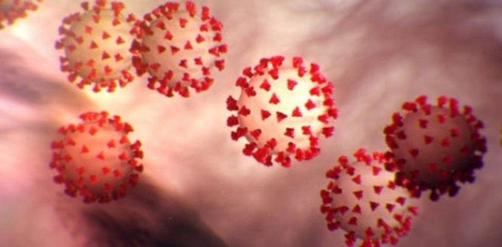2496 new cases of Kovid-19 in Odisha