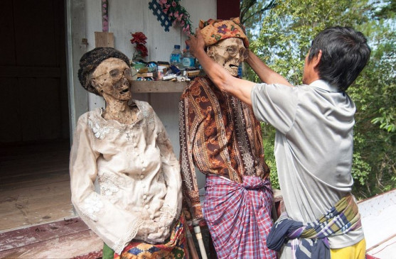 अजब-गजब: इस देश में हर 3 साल में कब्रों से निकाली जाती हैं लाशें, फिर उनके साथ मनाया जाता है यह फेस्टिवल अजब-गजब: इस देश में हर 3 साल में कब्रों से निकाली जाती हैं लाशें, फिर उनके साथ मनाया जाता है यह फेस्टिवल
