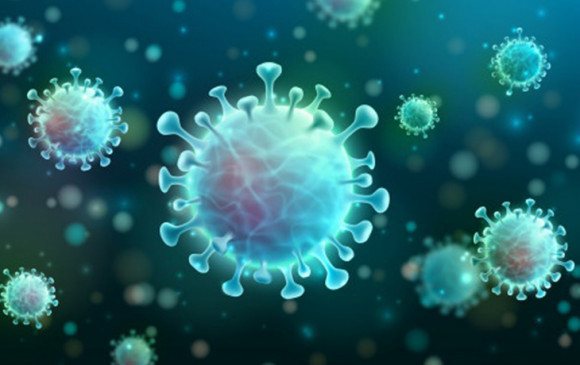 Corona in India: देश में 24 घंटे में एक हजार से ज्यादा की मौत, कुल मामले 24 लाख 61 हजार के पार Corona in India: देश में 24 घंटे में एक हजार से ज्यादा की मौत, कुल मामले 24 लाख 61 हजार के पार