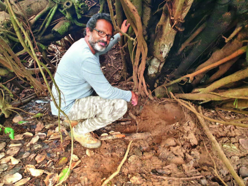 Green Story: 2200 trees have been saved by relocating old trees