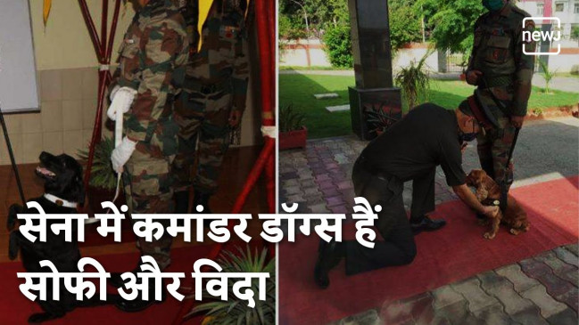 PM Modi Praises Indian Special Forces Dog VIDA and SOPHIE