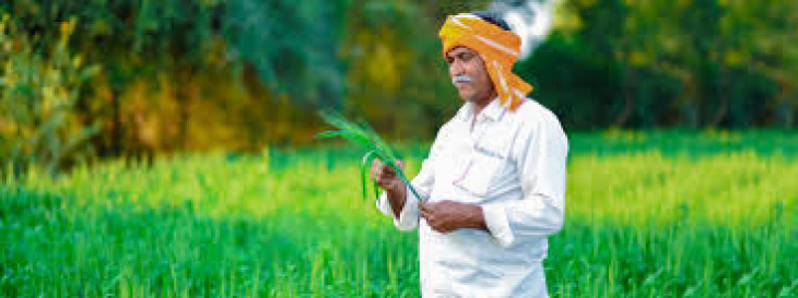 खेतों में जाकर किसानों से संवाद करेंगे कृषिमंत्री, हर 15 दिन में एक बार होगा दौरा 