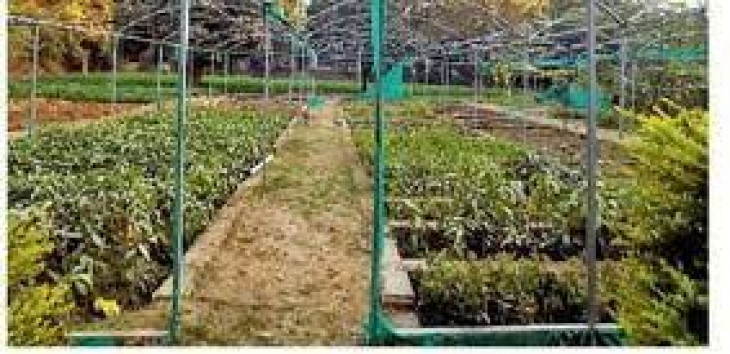 Now tourists will be able to enjoy farming