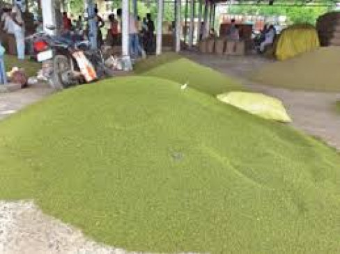 Purchase of moong at minimum support price in the state from October 1