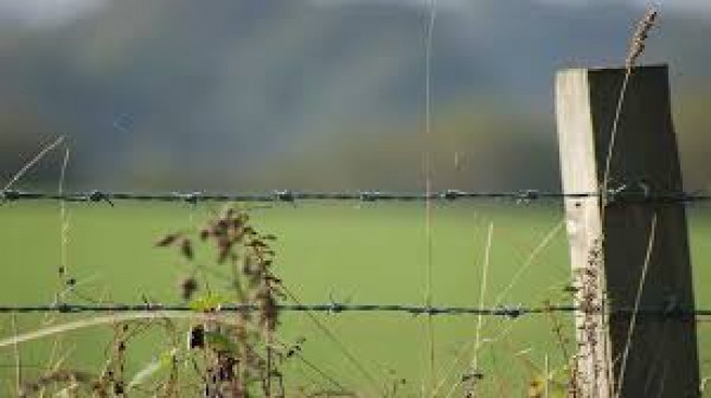 To Fencing in fields will not require permission from forest department,