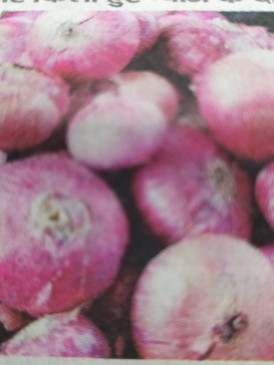 Vegetables prices sky high due to lack of local arrivals