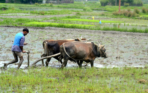  किसानों की मदद के लिए बीएचयू ने फार्ड के साथ किया समझौता 