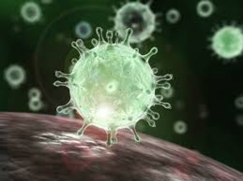 Nagpur: 636 new positive, 1271 healthy, 26 killed, 6809 tested