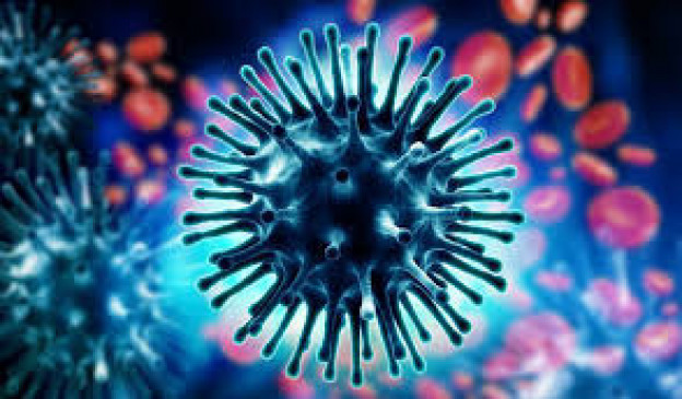Corona virus - need more vigilance now - 30 positive in Jabalpur, death of an infected Corona virus - need more vigilance now - 30 positive in Jabalpur, death of an infected