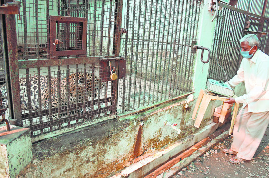 Heaters installed in Maharajbagh for wildlife