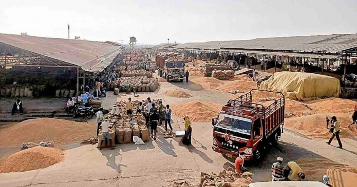 Raising on the face of farmers, prices of maize rise