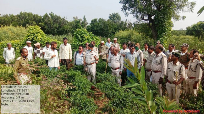 The roar of the tiger echoing around the village, people in panic, hunted chital in Karlei