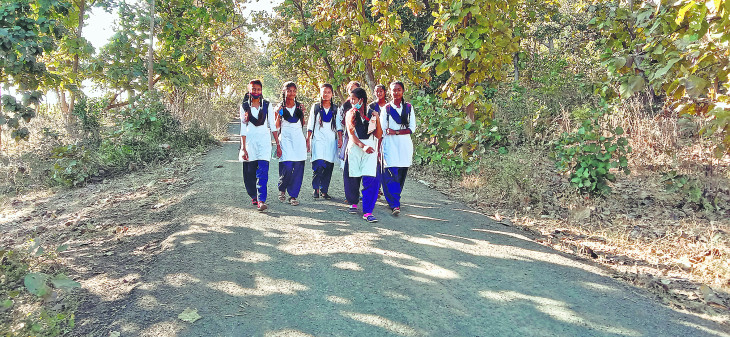Schools go to school to avoid predatory animals by way of forest