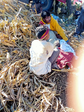 Tractor-trolley full of laborers overturned in Mankughati, 24 injured, 3 serious