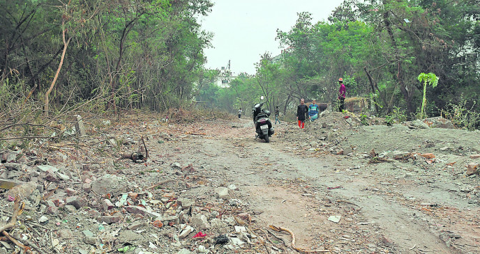 365 trees to be cut from Empress Mill to Bijaria, only 15 will be left 365 trees to be cut from Empress Mill to Bijaria, only 15 will be left