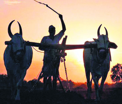Software to help farmers, technology will stop crop waste