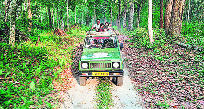 Another new jungle safari 30 km from Salai to Bawanthadi
