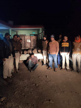 Beekhof wood smuggler: Teak smuggling of millions in the dark of night