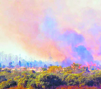 नागपुर यूनिवर्सिटी कैंपस के पीछे 250 एकड़ में लगी भीषण आग