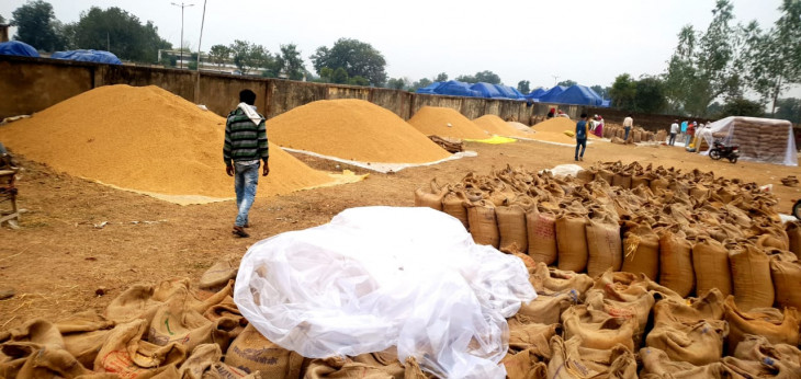 Self-help groups and warehouse operators will get responsibility for wheat procurement - ultimatum