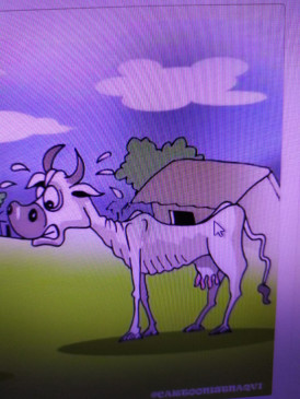 Treatment of infertility of milch animals - first modern lab to be constructed in Veterinary Hospital