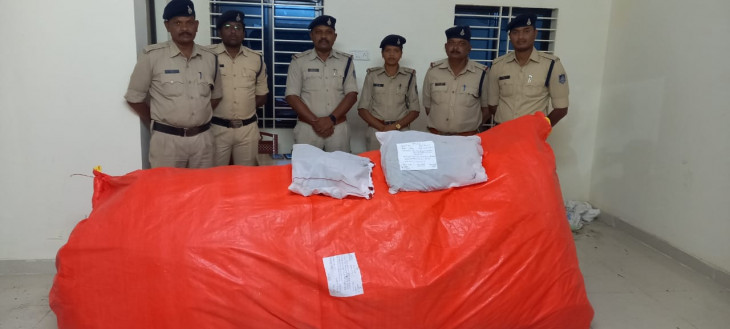 Hemp cultivation in the moon, 13 lakh hemp seized - Hemp plants were planted among garlic