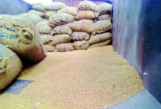 PCR for black-marketing of government grain increased