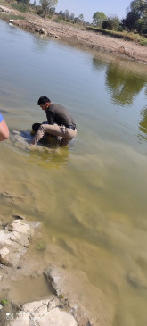Suicide - People pulled out of river twice, third time jumped again, death