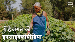 जानें क्या है तुलसी गौड़ा ? जिन्हें कहा जाता है जंगल की इनसाइक्लोपीडिया