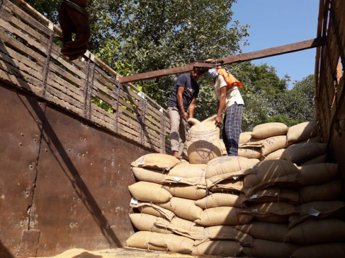 700 bags of wheat seized in truck - complaints of purchase disturbances