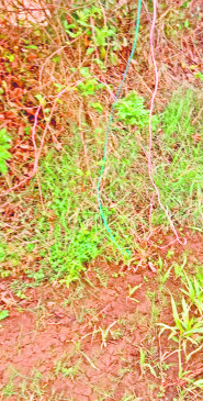 Nagpur: Two women died due to electrocution in the field