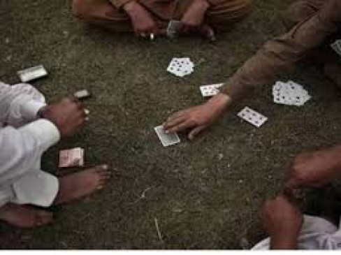 Raid on gambling base running under tree, 5 arrested