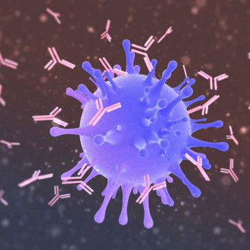 Corona - Continuation of Deaths Continues, 27 Killed, 63 Newly Infected Found Corona - Continuation of Deaths Continues, 27 Killed, 63 Newly Infected Found