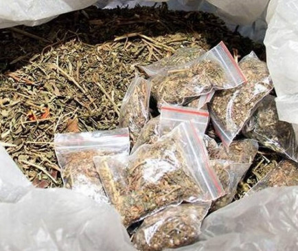 Hemp was hidden under a stone in the bathroom, police caught