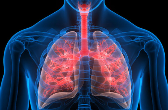 Lung fibrosis and thrombosis diseases becoming fatal for patients emerging from the corona