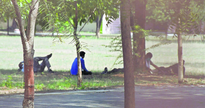 Shaft kept searching for leopard in the shade of trees