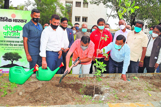 Dainik Bhaskars plantation campaign:   Protection of plants is also necessary