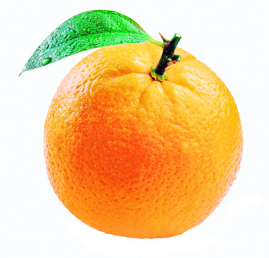 Insurance cover for Nagpurs orange and maesambi