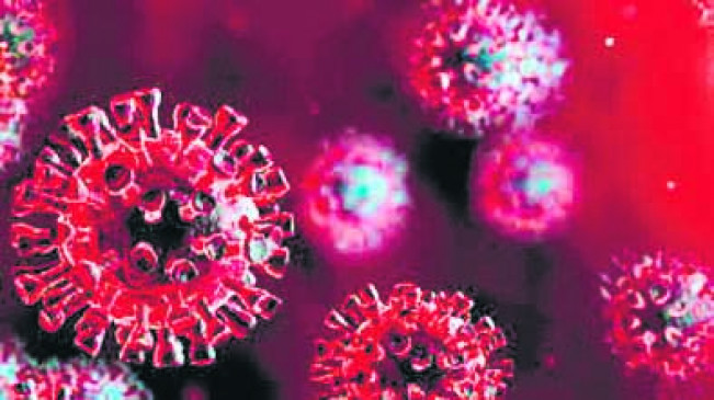 The speed of corona decreased, the patients recovered rapidly, the figure also decreased