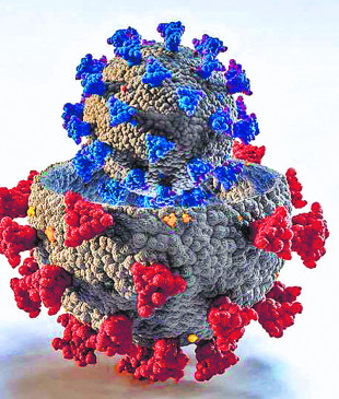 Delta variant: 70% infected in 500 people tested