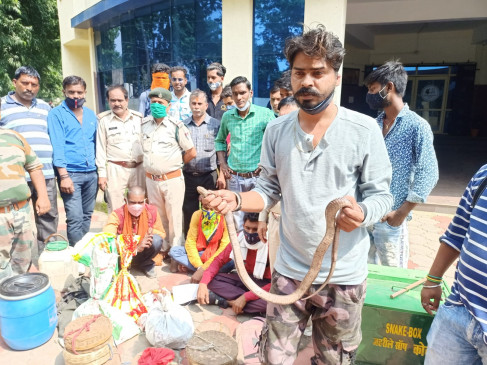 प्रतिबंध के बाद भी कॉलोनियों में नागों का प्रदर्शन कर रहे थे सपेरे