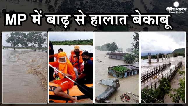 MP में बाढ़ से हालात बेकाबू: शिवपुरी, श्योपुर, ग्वालियर और दतिया में 2 हजार से ज्यादा लोग फंसे, CM शिवराज ने मांगी सेना से मदद