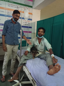 The dog caught the snake, which was trying to bite the young man.