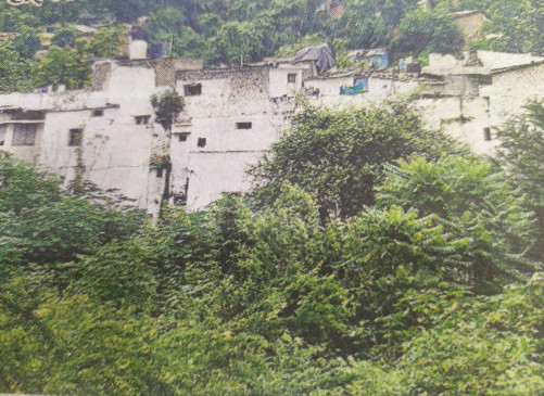 The High Court also directed to present the status report of 3 plants planted on the Madan Mahal hill. The High Court also directed to present the status report of 3 plants planted on the Madan Mahal hill.
