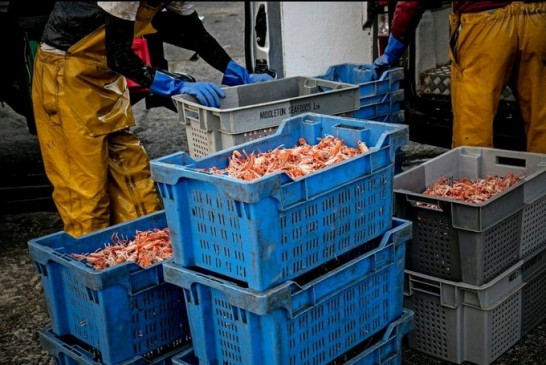 मछली पकड़ने पर फ्रांस का नियोजित प्रतिबंध निराशाजनक