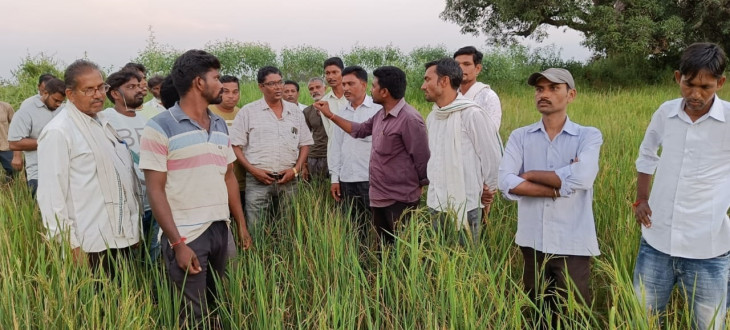 Crop of 626 hectares wasted due to lack of irrigation Crop of 626 hectares wasted due to lack of irrigation