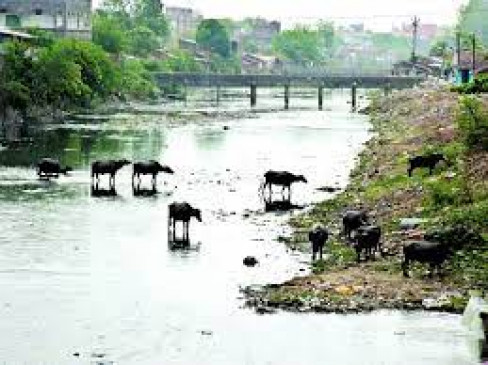 Expenditure Finance Committee approval for ambitious project Expenditure Finance Committee approval for ambitious project