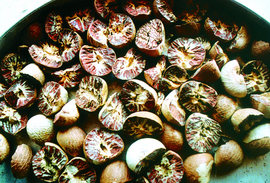 GST Delhi officials conducting reconnaissance of betel nut trader GST Delhi officials conducting reconnaissance of betel nut trader